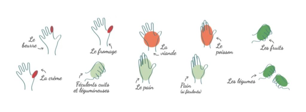 les proportions des aliments avec les mains