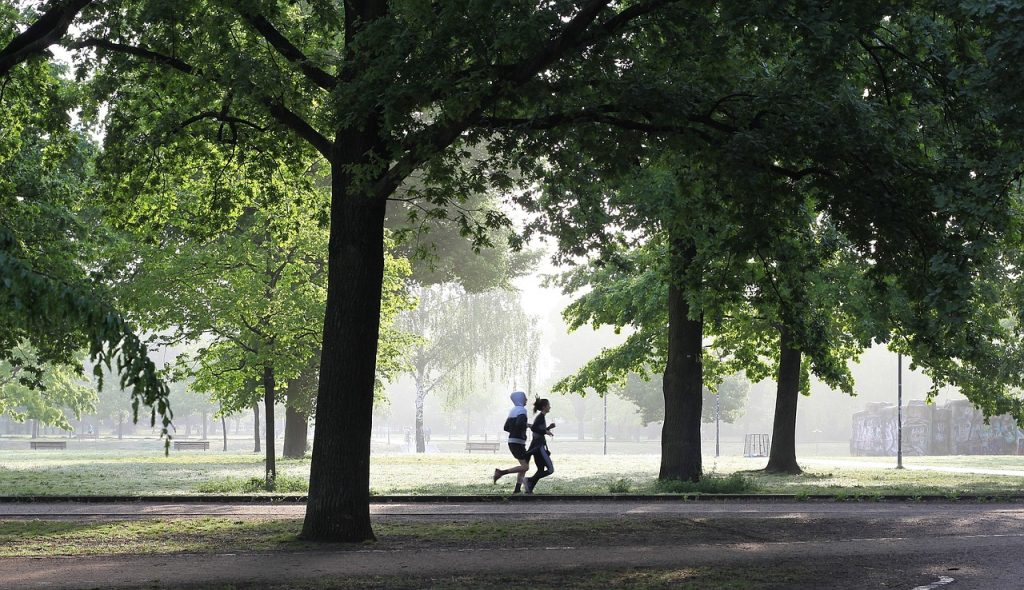 intérêt de l'accompagnement du sportif
