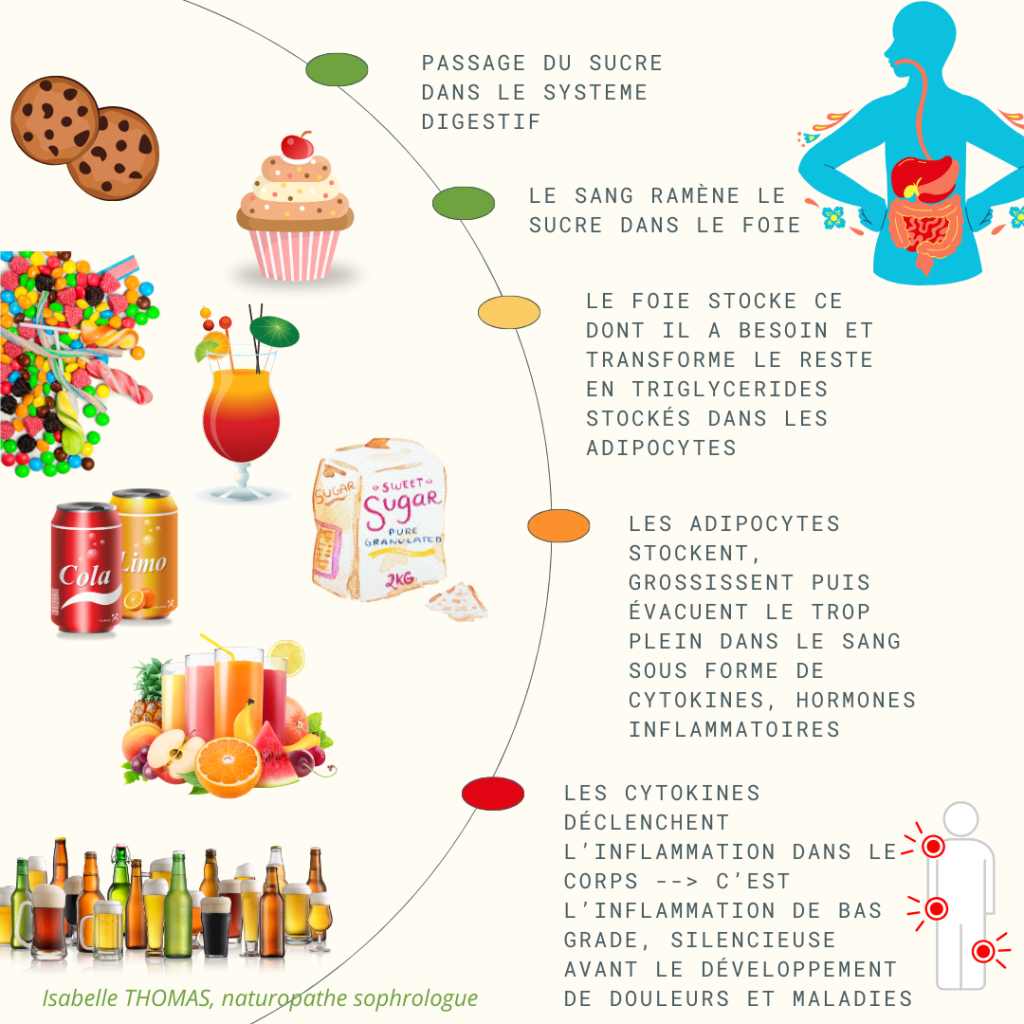 alimentation sucrée isabelle thomas naturopathe